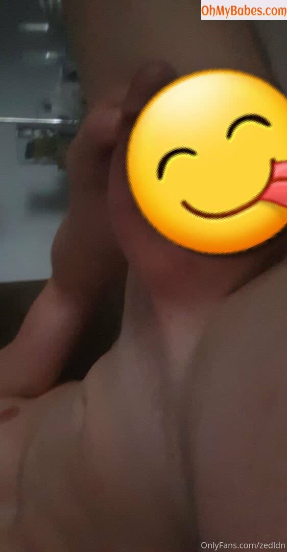 zedldn OnlyFans leaked photo #6 - OhMyBabes